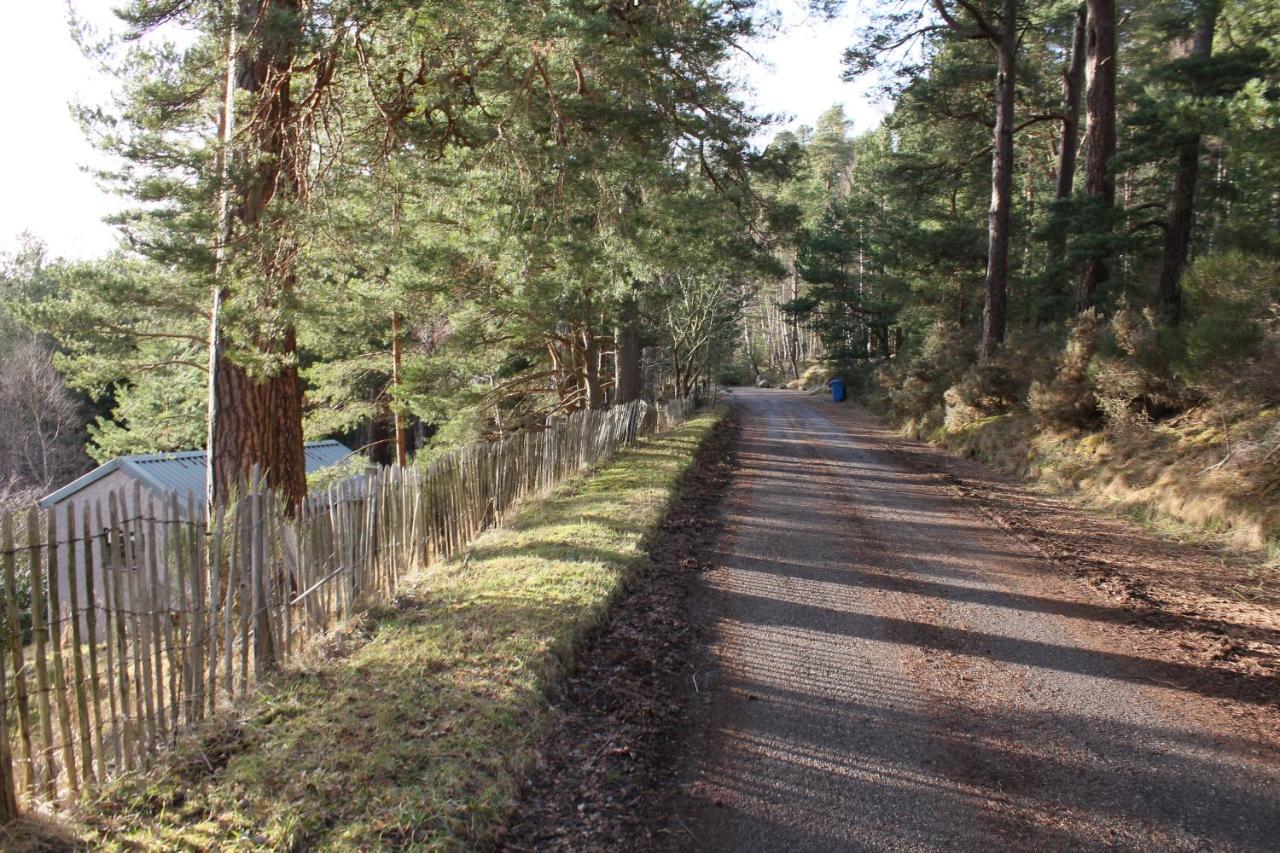 Amazing Cottage With Private Indoor Swim Pool And Hot Tub Grantown-on-Spey Exterior foto
