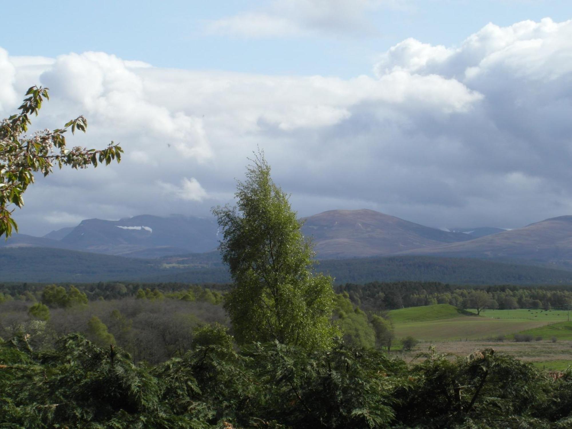 Amazing Cottage With Private Indoor Swim Pool And Hot Tub Grantown-on-Spey Exterior foto